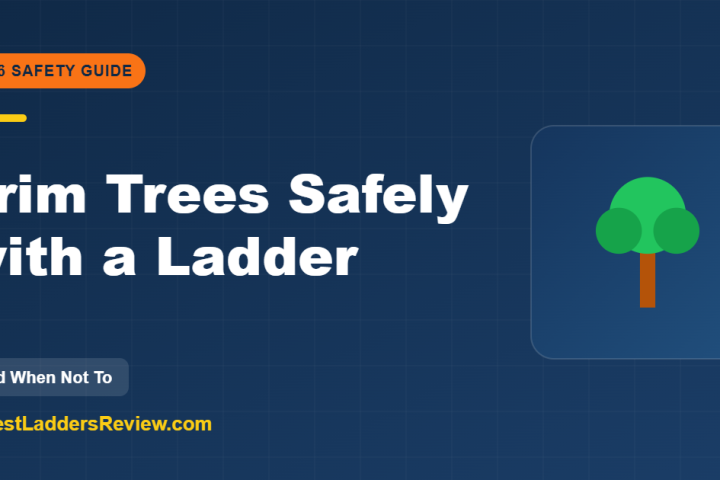 How to trim trees safely with a ladder 2026
