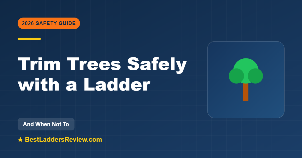 How to trim trees safely with a ladder 2026